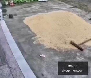 热门对战,金州女武神,与飞马深度,爱游戏app,爱游戏官网,爱游戏体育app